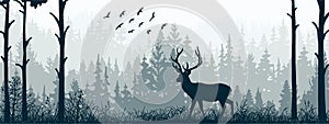 Horizontal banner of forest and meadow, silhouettes of trees and grass. Magical misty landscape, fog. Blue and gray illustration