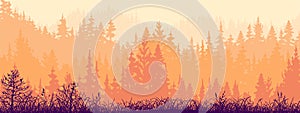 Horizontal banner of forest and meadow, silhouettes of trees and grass. Magical misty landscape, fog. Orange and pink illustrati