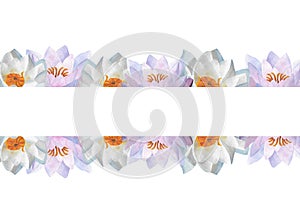 Horizontal banner with lilac waterlilies Watercolor floral for decoration design of certificates,websites Women day 2024