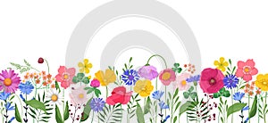 Horizontal banner with multicolored wildflowers and leaves