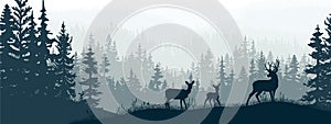 Horizontal banner. Silhouette of deer, doe, fawn standing on meadow in forrest. Silhouette of animal, trees, grass. Magic.