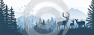 Horizontal banner. Silhouette of deer, doe, fawn standing on meadow in forrest. Silhouette of animal, trees, grass.