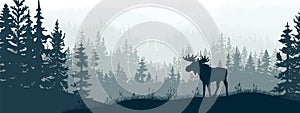 Horizontal banner. Silhouette of moose standing on meadow in forrest. Silhouette of animal, trees, grass. photo