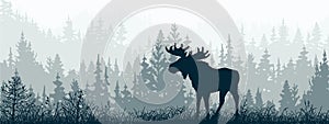 Horizontal banner. Silhouette of moose standing on meadow in forrest. Silhouette of animal, trees, grass.