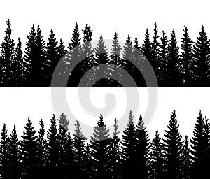 Horizontal banner silhouettes of spruce coniferous forest.