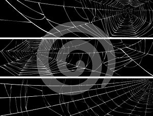 Horizontal banner of web of spider.