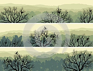 Horizontal banners of green forest with nest in tree.