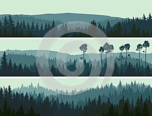 Horizontal banners of hills coniferous wood.