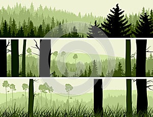 Horizontal banners of hills coniferous wood.