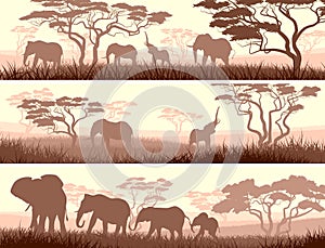 Horizontal banners of wild animals in African savanna.