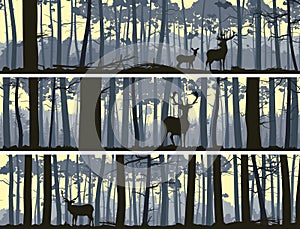 Horizontal banners of wild animals in wood.