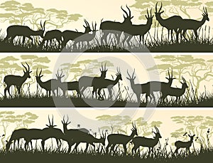 Horizontal banners of wild antelope in African savanna.
