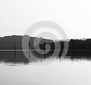 Horizontal black and white fishing nets reflections background b