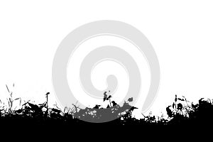 Horizontal black and white grass silhouette illustration background