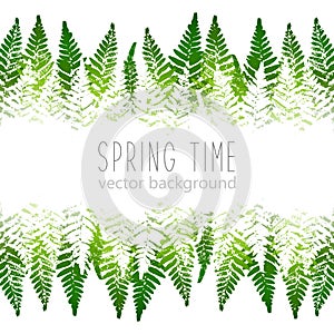 Horizontal border with fern leaves paint prints isolated on white background 11