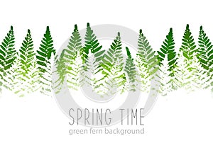 Horizontal border with fern leaves paint prints isolated on white background 16