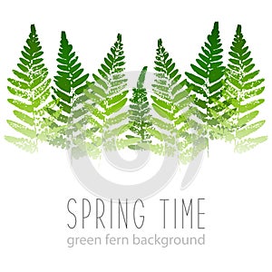 Horizontal border with fern leaves paint prints isolated on white background 2