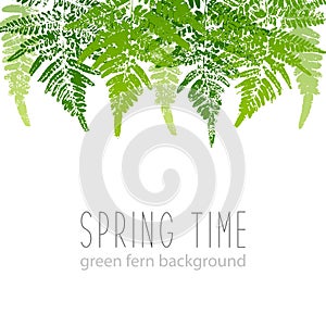 Horizontal border with fern leaves paint prints isolated on white background 4