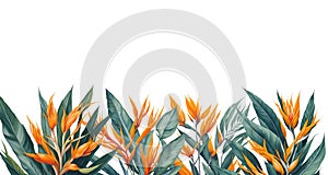 Horizontal border with tropical flowers and palm leaves. Watercolor illustration on white background. Generative AI