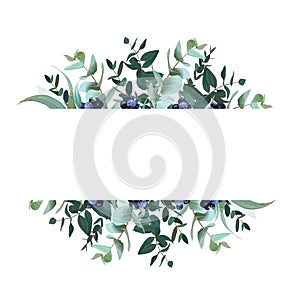 Horizontal botanical vector design banner