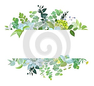 Horizontal botanical vector design banner photo