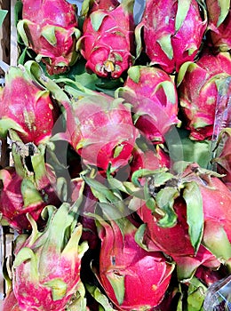 Horizontal close-up of fresh dragon fruit displayed in the tropical fruit market, Chonburi, Thailand