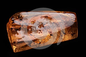 An horizontal close up of polished piece of amber, fossil resin with several insects isolated on black background