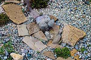 Horizontal color photo of decorative stones among gravel with selective focus on a sunny summer day.