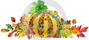 Horizontal composition of striped pumpkin and autumn leaves