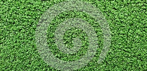 Horizontal Cricket Pitch Texture Close up. Green Grass. Indoor Cricket Turf texture