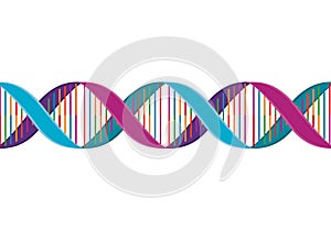 Horizontal dna chain science colorful icon