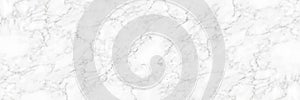 horizontal elegant white marble texture background,vector illustration