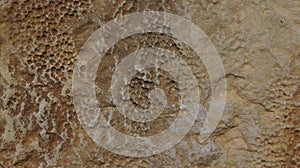 Horizontal Eroded Rock Surface with Pitted Texture