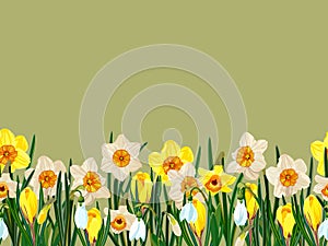 Horizontal flower border of daffodils, hyacinths, snowdrops, crocuses.