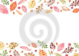 Horizontal frame of colorful autumn leaves imprints, sea buckthorn, red bilberries isolated on white background. Watercolor