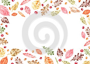 Horizontal frame of colorful autumn leaves imprints, sea buckthorn, red bilberries isolated on white background. Watercolor