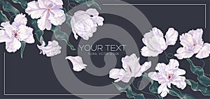 Horizontal frame spring banner with white tulips on dark background, place for text.