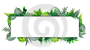 Horizontal frame of tropical leaves around a white empty rectangle.