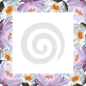 Horizontal frame with watercolor purple waterlilies For decoration, ads, frameworks, Women& x27;s day 2024 birthday