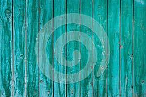 Horizontal grungy wood texture for design. Textured surface aqua mente color. Wood plank background photo