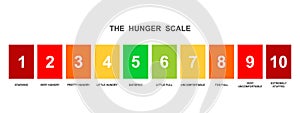 Horizontal hunger scale. Food fullness levels. Ghrelin and leptin balance meter isolated on white background. Appetite