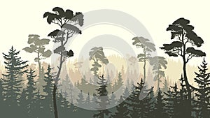 Horizontal illustration of green brown coniferous forest.
