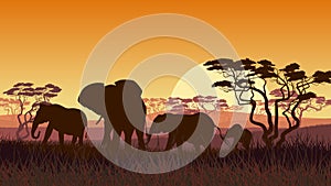 Horizontal illustration of wild animals in African sunset savanna.