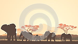 Horizontal illustration of wild animals in African sunset savanna.