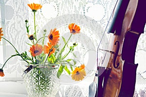 Horizontal image of the bottom half of violin with sheet music and flowers the front of the fiddle on windows