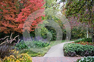 Horizontal image of garden walkway in fall