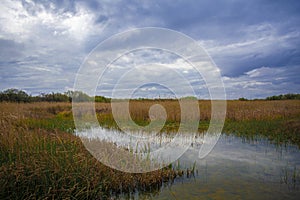 Horizontal image of a marsh with dry cordgrass in cloudy weather