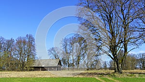 Horizontal image of an old rustic abandoned house and trees on nature background. Countryside concept