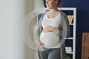 Horizontal image of thoughtful pregnant woman indoors