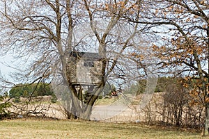 Horizontal image of a treehouse